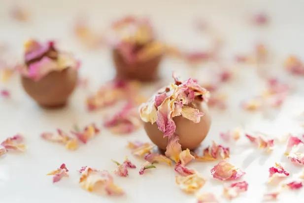 카지노 판타스틱 스핀스 안드로이드/iOS 앱